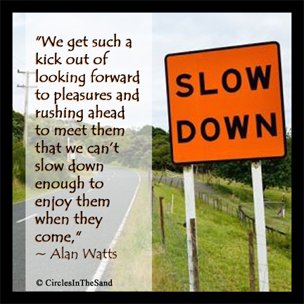 Cant Slow Down Enough